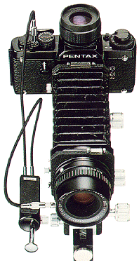nice macro setup: LX, bellows, bellows lens, double release cable
